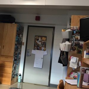 Meet your Posher, Abby